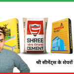 shree cement