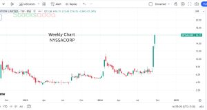 Nyssa Corporation Ltd ₹16 का Penny Stock, एक हफ्ते में 50% रिटर्न