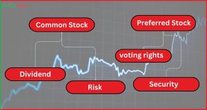 कॉमन स्टॉक और प्रेफर्ड स्टॉक क्या होता है