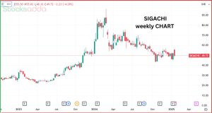 Sigachi Industries Ltd