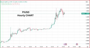 Pi Network Coin