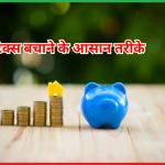 टैक्स बचाने के आसान तरीके 