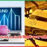 Index Fund vs Gold