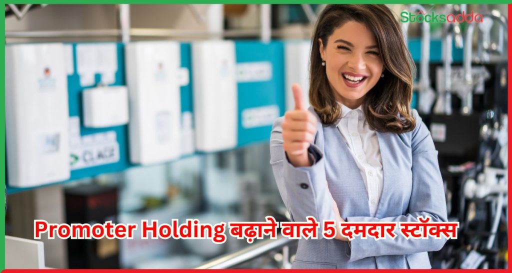 Promoter Holding